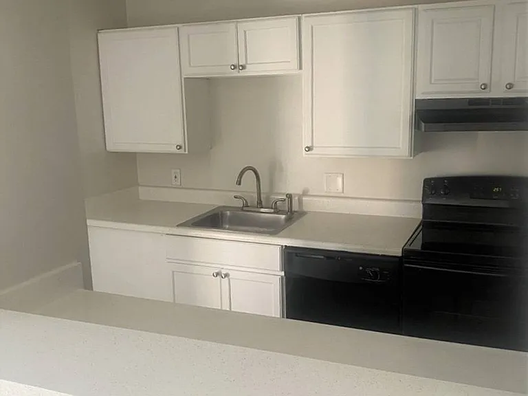 The Crescent at Lakeshore — Photo 20
