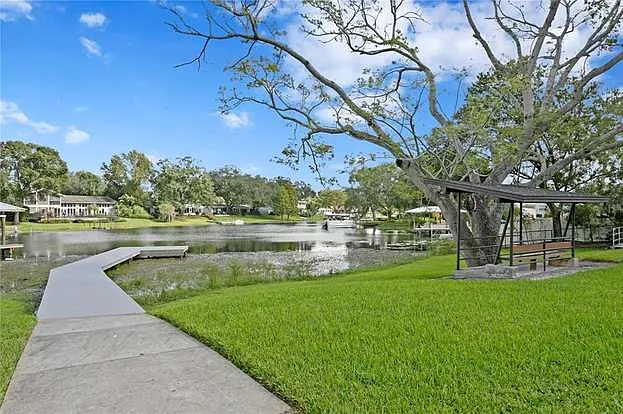11212 Carrollwood Dr — Photo 66