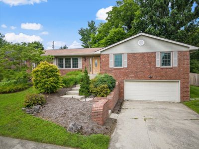 1241 Tishoff Dr, Lexington, KY, 40502
