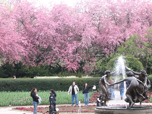 Rented by Lola Pazos Real Estate | media 8