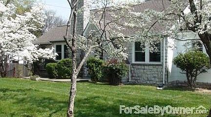 Street View with Mature Dogwood Trees
						:
						Street View with Mature Dogwood Trees
