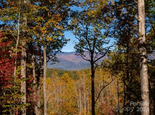 19 Warren Ridge Way #1, Old Fort, NC 28762