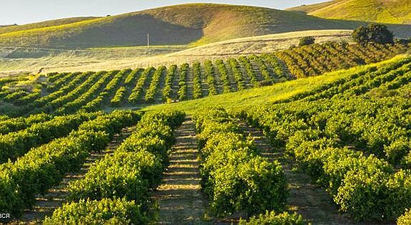 5th image of 370 Hemi Rd