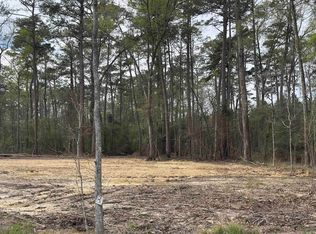 LOT B3 Reinninger Rd LOT B3, Denham Springs, LA 70706