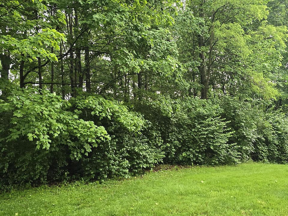 1st image of 9895 Irishmans Run Ln