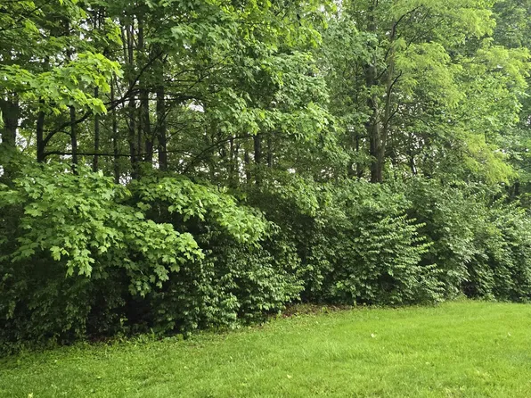9895 Irishmans Run Ln, Zionsville, IN 46077