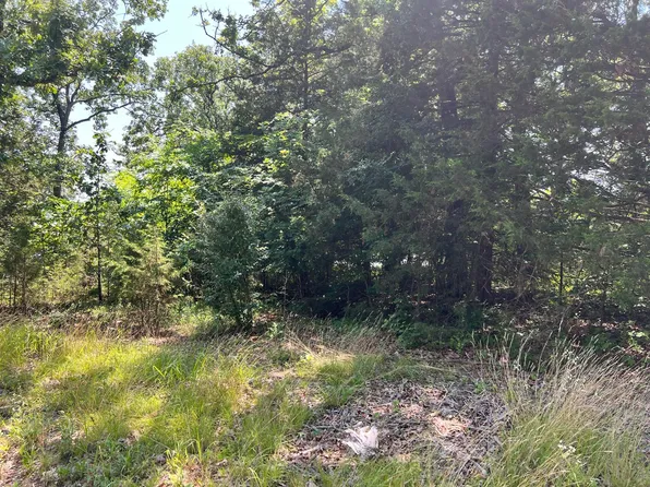 000 Golden Drive, Kimberling City, MO 65686