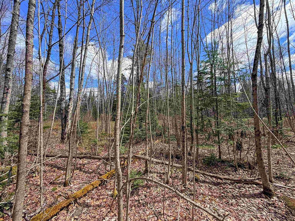 1st image of Lot 4 Oregon Road