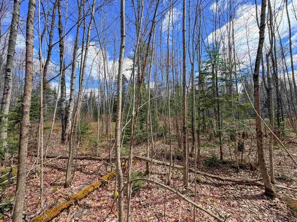 Lot 4 Oregon Road, Concord, VT 05824