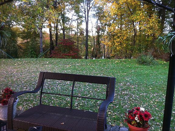 View of woods/lake from deck