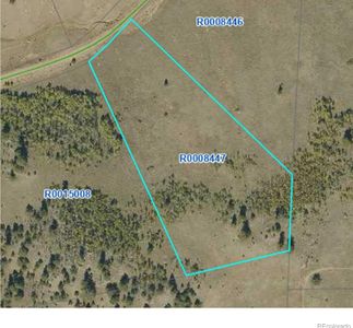 2178 Dog Chief Trail, Hartsel, CO, 80449