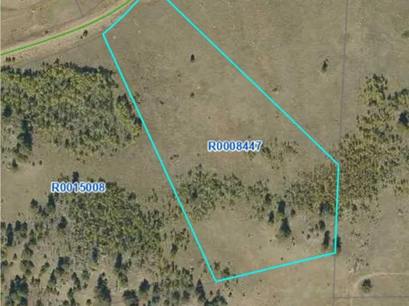 2178 Dog Chief Trail, Hartsel, CO 80449