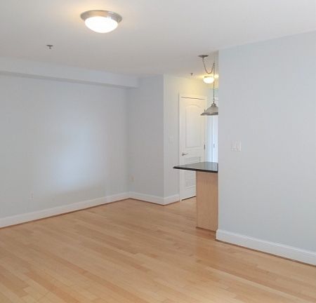5th image of 70 S Munn Ave APT 813