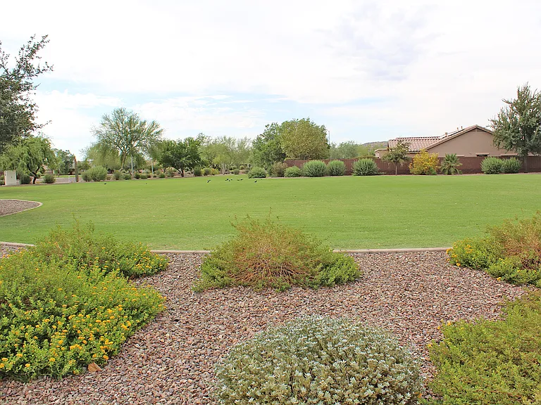 25413 N 55th Ln — Photo 98