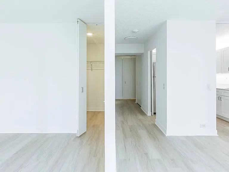 301 N Stetson Ave #3207 — Photo 6