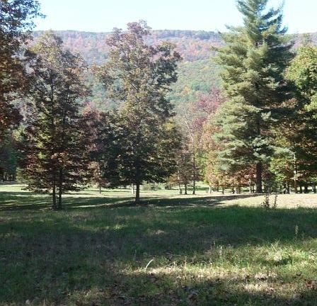 Pictures taken in the fall. 