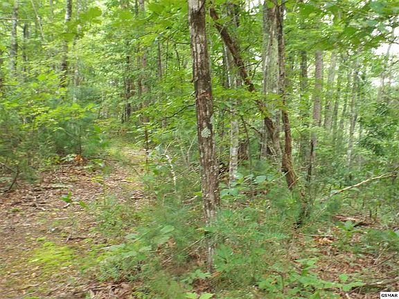 2nd image of 0 Huskey Grove Rd