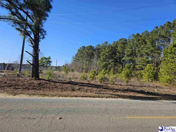 1549 Lester Rd, Dillon, SC 29536