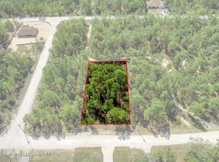 12388 Snowy Egret Ave, Weeki Wachee, FL 34614