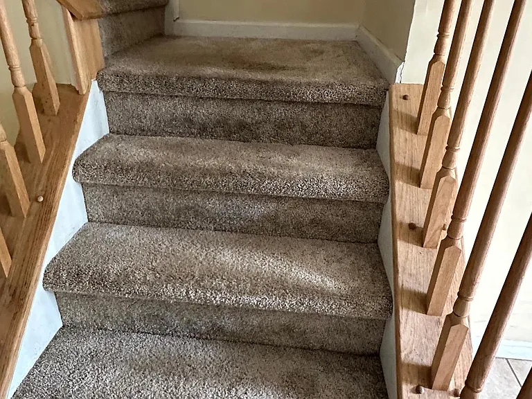 108 Steven Ln — Photo 8