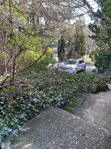 1430 SW Moss St Photo 1