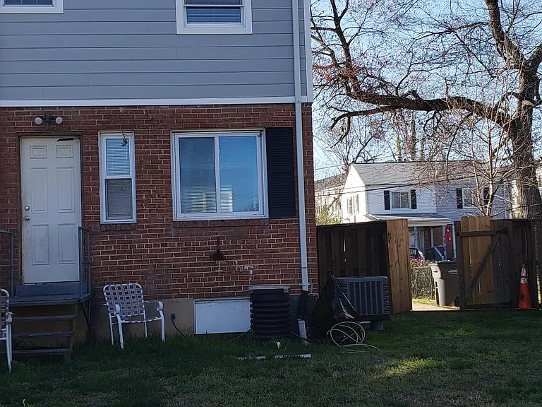 Back yard