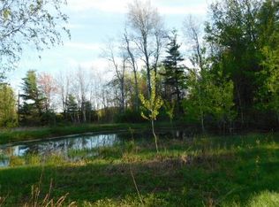 11 Park Station Rd, Erin, NY 14838