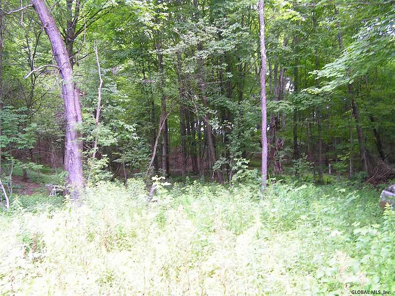 3rd image of MOONEY Road