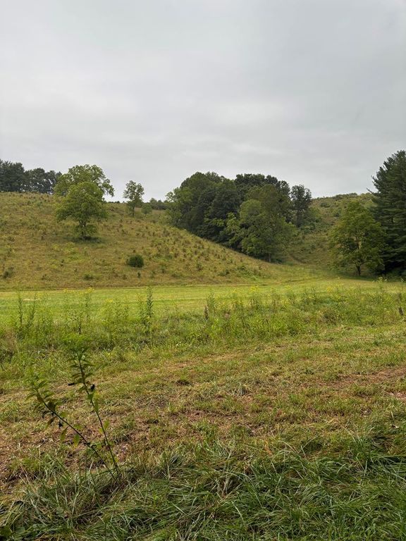 Real estate listing image
