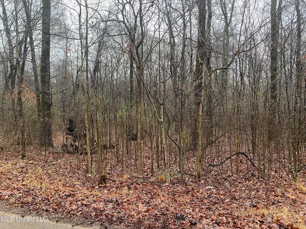 Bankston Rd N Lot 16, Nesbit, MS 38651