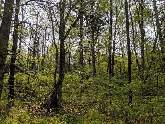 5th image of 1 Pixley Wilderness Shores Rd