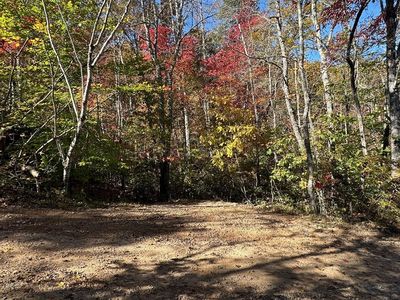0 Willow Pond Rd, Franklin, NC, 28734