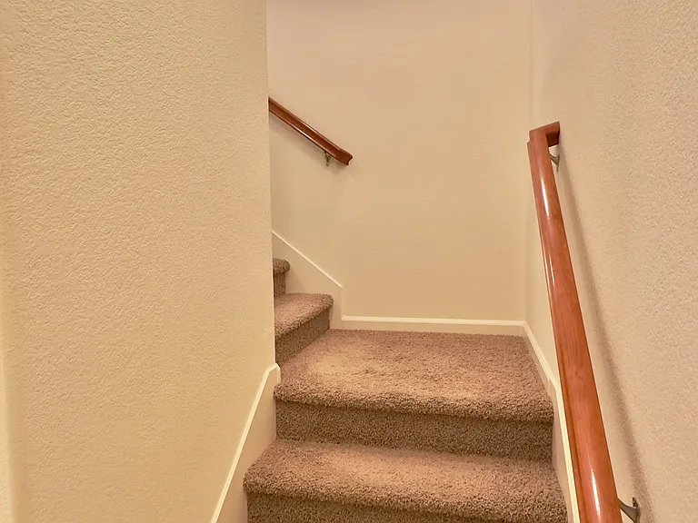 209 Blossom Rock Ln — Photo 11