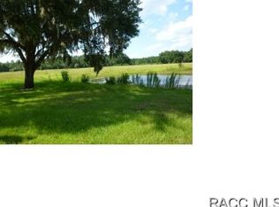 7829 County Road 248b, Lake Panasoffkee, FL 33538