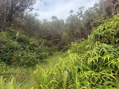 Fern Ct Lot 85, Mountain View, HI, 96771