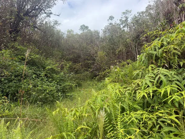 Fern Ct Lot 84, Mountain View, HI 96771