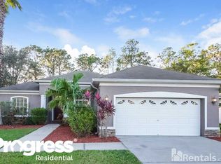 11742 Summer Springs Dr, Riverview, FL 33579