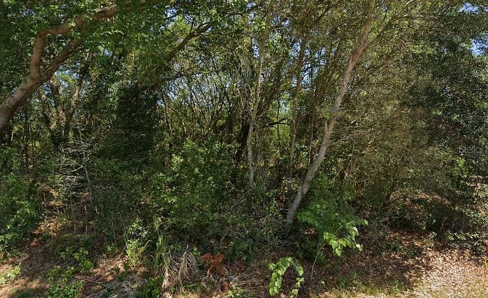 1st image of 19901 FLAMINGO DRIVE LOT 22