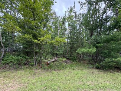 V/l Long Lake Rd, Hillman, MI, 49746