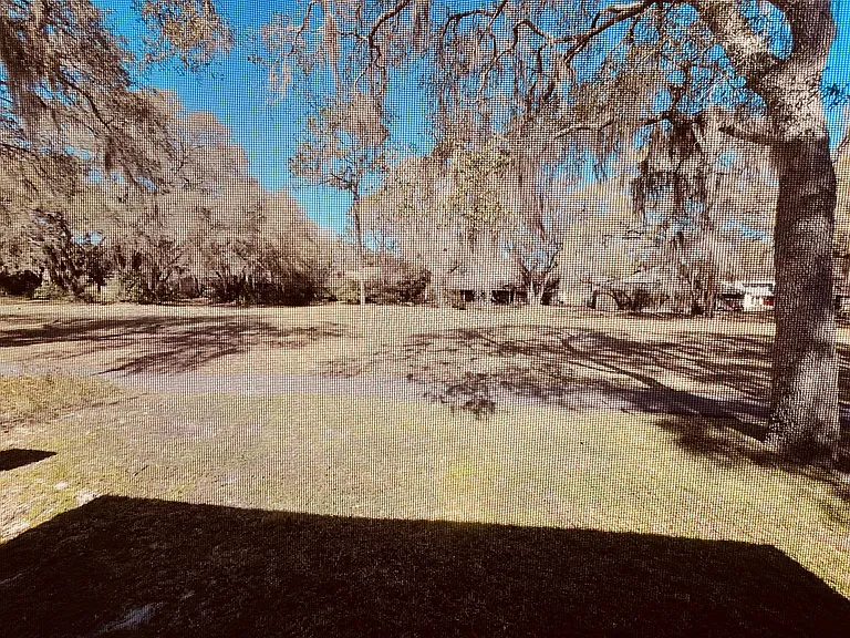 35115 Whispering Oaks Blvd — Photo 30