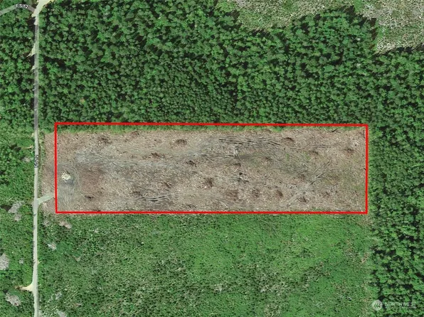 90 Forest Service 1.2, Moclips, WA 19770