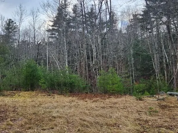523 Bald Mountain Road, Dedham, ME 04429