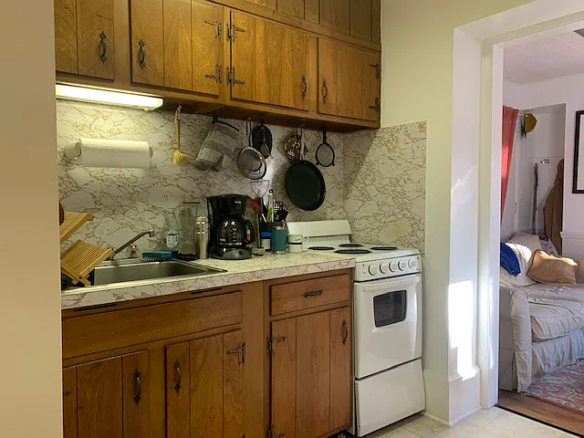 1 bed, 370 sqft, $995 — Photo 4