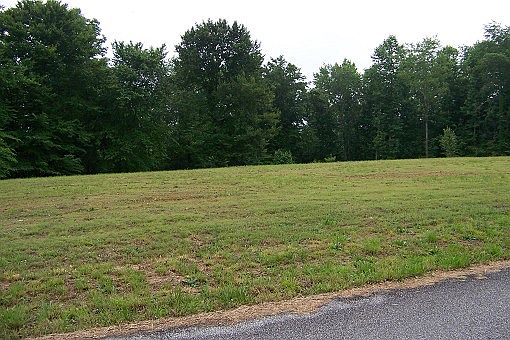 1st image of Betsy Dr