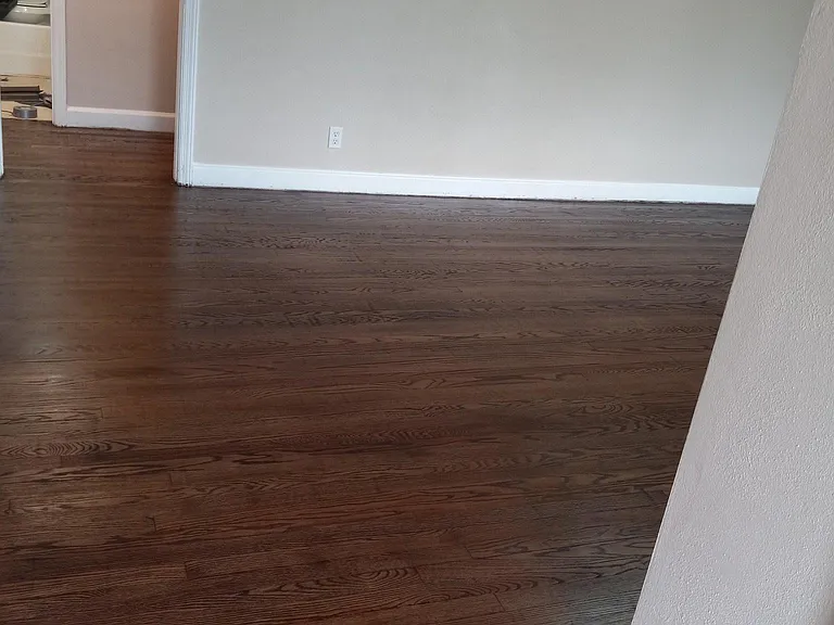 1334 Lolita Ln — Photo 14