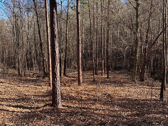 5th image of 150 County Rd