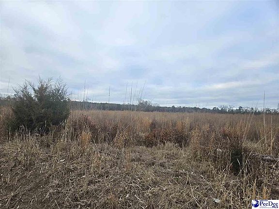 2nd image of Sunset Dr