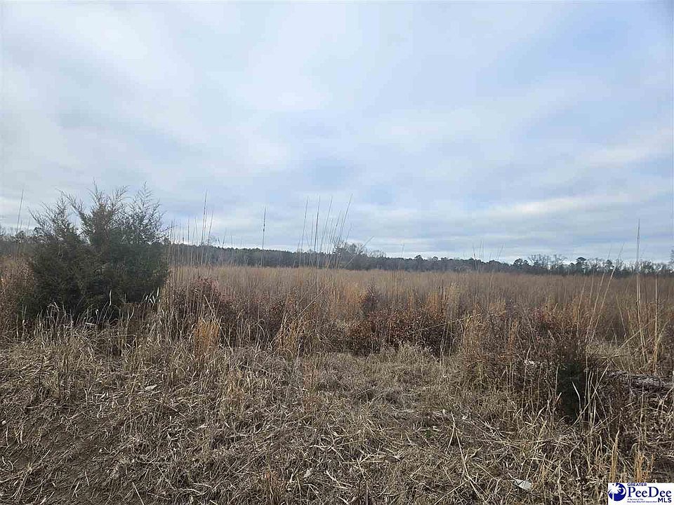 2nd image of Sunset Dr