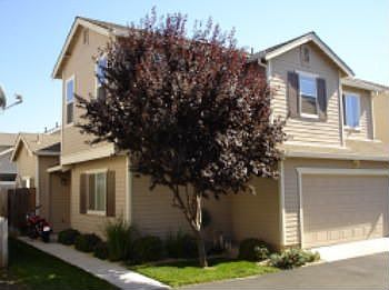 2nd image of 6426 Laguna Mirage Ln
