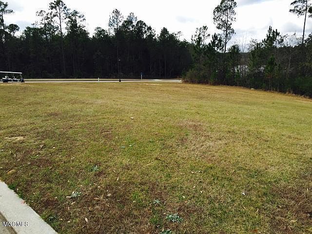 2nd image of LOT 42 Savannah St Lot 42
